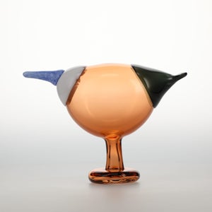 Birds Blue Magpie セビリアオレンジ 0032