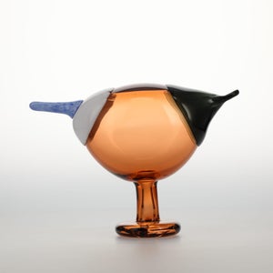 Birds Blue Magpie セビリアオレンジ 0034