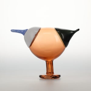 Birds Blue Magpie セビリアオレンジ 0035