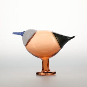 Birds Blue Magpie セビリアオレンジ 0036