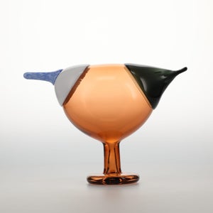 Birds Blue Magpie セビリアオレンジ 0038