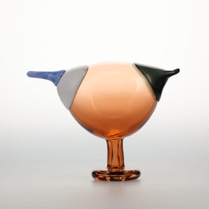 Birds Blue Magpie セビリアオレンジ 0040