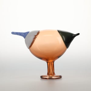 Birds Blue Magpie セビリアオレンジ 0043