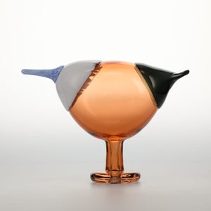 Birds Blue Magpie セビリアオレンジ 0044