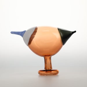 Birds Blue Magpie セビリアオレンジ 0045