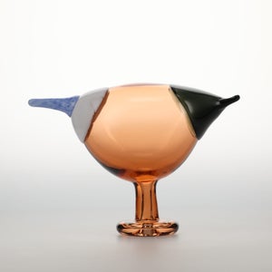 Birds Blue Magpie セビリアオレンジ 0046