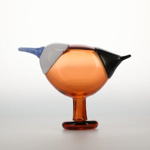 Birds Blue Magpie セビリアオレンジ 0047