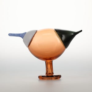 Birds Blue Magpie セビリアオレンジ 0049