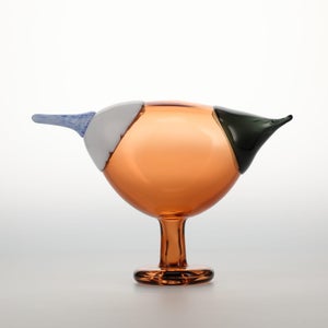 Birds Blue Magpie セビリアオレンジ 0050