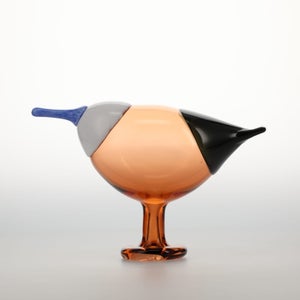 Birds Blue Magpie セビリアオレンジ 0052