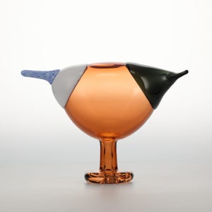 Birds Blue Magpie セビリアオレンジ 0053