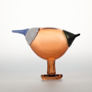 Birds Blue Magpie セビリアオレンジ 0054