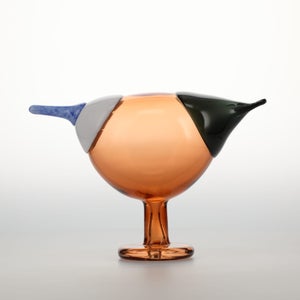 Birds Blue Magpie セビリアオレンジ 0056