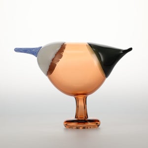 Birds Blue Magpie セビリアオレンジ 0057