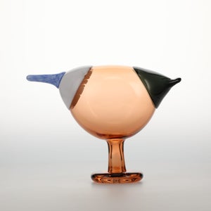 Birds Blue Magpie セビリアオレンジ 0058