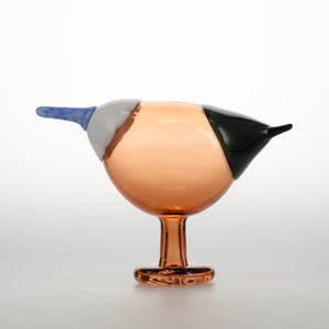 Birds Blue Magpie セビリアオレンジ 0059