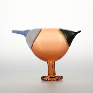 Birds Blue Magpie セビリアオレンジ 0060