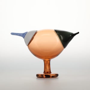 Birds Blue Magpie セビリアオレンジ 0061