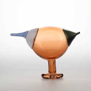 Birds Blue Magpie セビリアオレンジ 0063