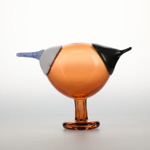 Birds Blue Magpie セビリアオレンジ 0068