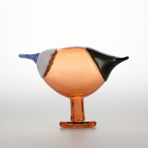 Birds Blue Magpie セビリアオレンジ 0069