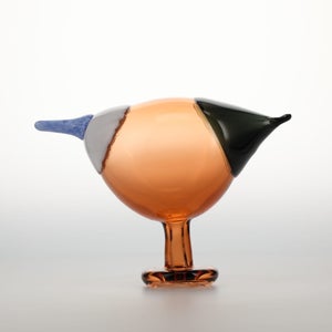 Birds Blue Magpie セビリアオレンジ 0070