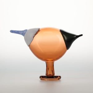 Birds Blue Magpie セビリアオレンジ 0071