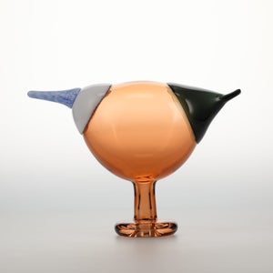 Birds Blue Magpie セビリアオレンジ 0072