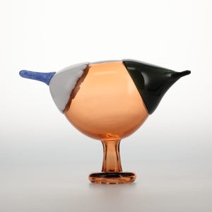 Birds Blue Magpie セビリアオレンジ 0073