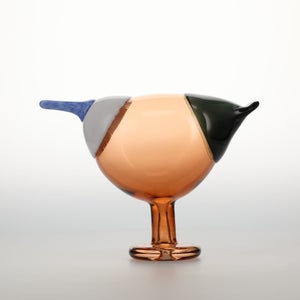 Birds Blue Magpie セビリアオレンジ 0074