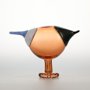 Birds Blue Magpie セビリアオレンジ 0076