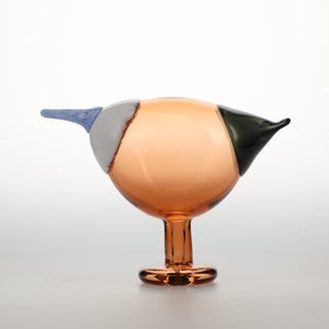 Birds Blue Magpie セビリアオレンジ 0077