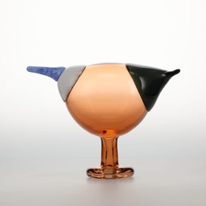 Birds Blue Magpie セビリアオレンジ 0078