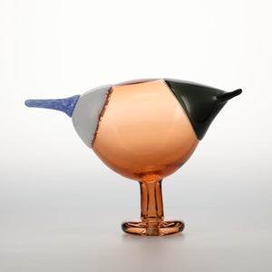 Birds Blue Magpie セビリアオレンジ 0080