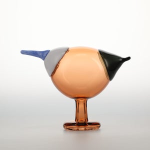 Birds Blue Magpie セビリアオレンジ 0082