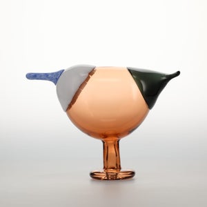 Birds Blue Magpie セビリアオレンジ 0084