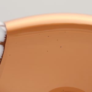 Birds Blue Magpie セビリアオレンジ 0001