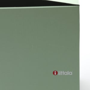 Birds Blue Magpie セビリアオレンジ 0007