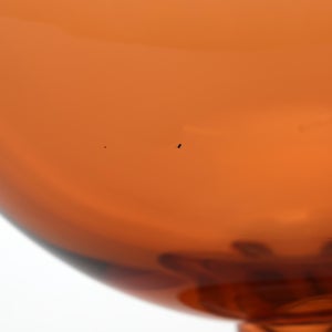 Birds Blue Magpie セビリアオレンジ 0011