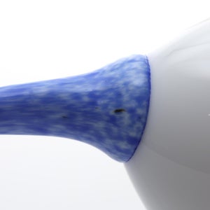 Birds Blue Magpie セビリアオレンジ 0012