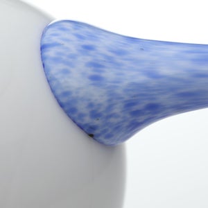 Birds Blue Magpie セビリアオレンジ 0020