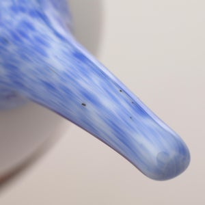 Birds Blue Magpie セビリアオレンジ 0023