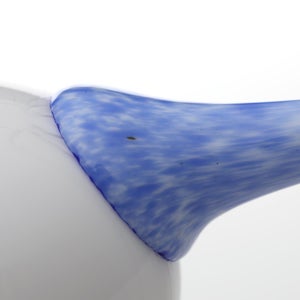 Birds Blue Magpie セビリアオレンジ 0054