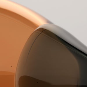 Birds Blue Magpie セビリアオレンジ 0063