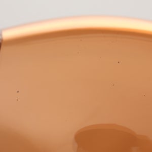 Birds Blue Magpie セビリアオレンジ 0070