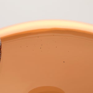 Birds Blue Magpie セビリアオレンジ 0071