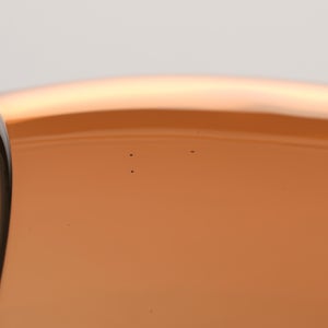 Birds Blue Magpie セビリアオレンジ 0073