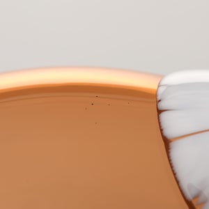 Birds Blue Magpie セビリアオレンジ 0075