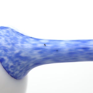 Birds Blue Magpie セビリアオレンジ 0084