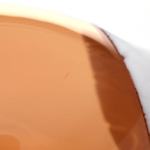 Birds Blue Magpie セビリアオレンジ 0046